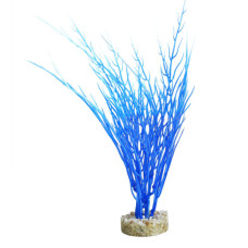 Decoração Planta Acorus Blue Ocean 